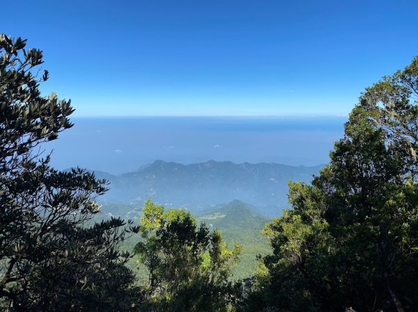 苗栗_大坪出發~杜鵑嶺/加里山1485789