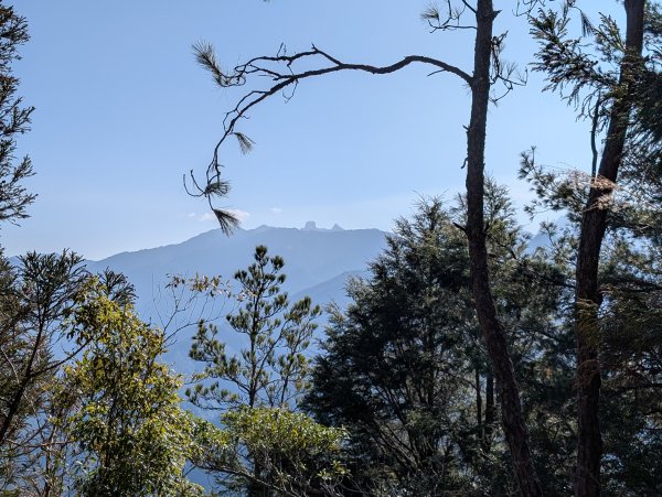 觀霧國家森林遊樂區和包場的榛山三角點2724172