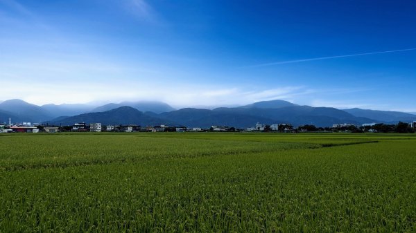 三奇美徑,52甲濕地,傳藝中心2518185