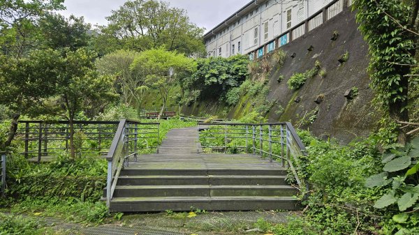 20260312瑞芳砲台山-水圳路3015923