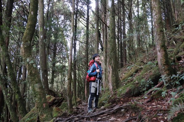 2020-12-12 八仙山1216278