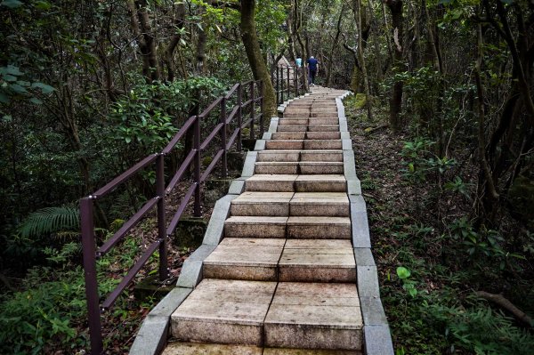 大武崙山｜小百岳2835043