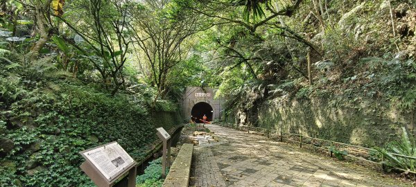 2026/04/12 草嶺山+打鐵寮古道 O型3035622