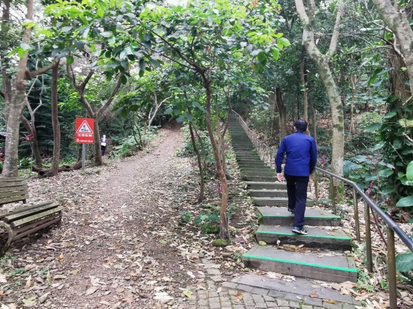 花蓮的必訪步道：美崙山公園、林田山林業文化園區 - 2022/2/31671401