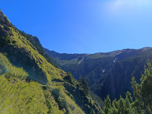 玉山主/東/南/東小南4座百岳（全程大景）1868763