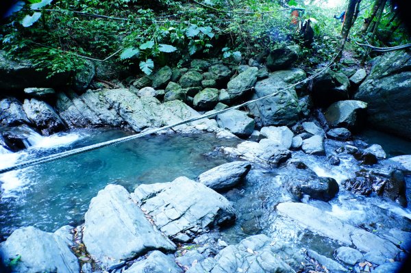 桃園 復興 上宇內山、南插天山3129131