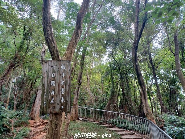 【彰化田中】蓊鬱森林有點陡。 田中森林登山步道1925569