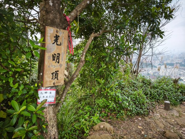 20260126微笑山線烘爐地段2989051