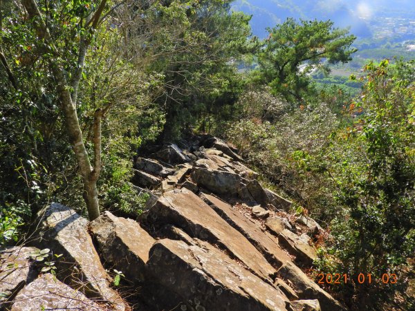 南投 國姓 梅島山1250001