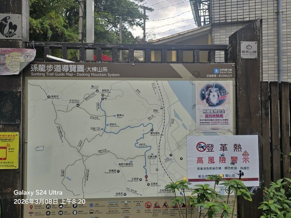 2026-03-08微笑山線：【大棟山系】百年大榕樹段3011665