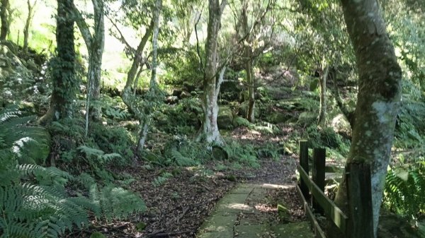 20251004 馬那邦山 - 珠湖 登山口2904871