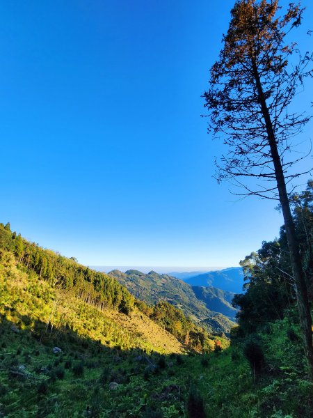 小百岳集起來-鵝公髻山2181608