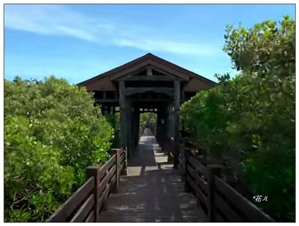 新豐紅樹林木棧步道2707054
