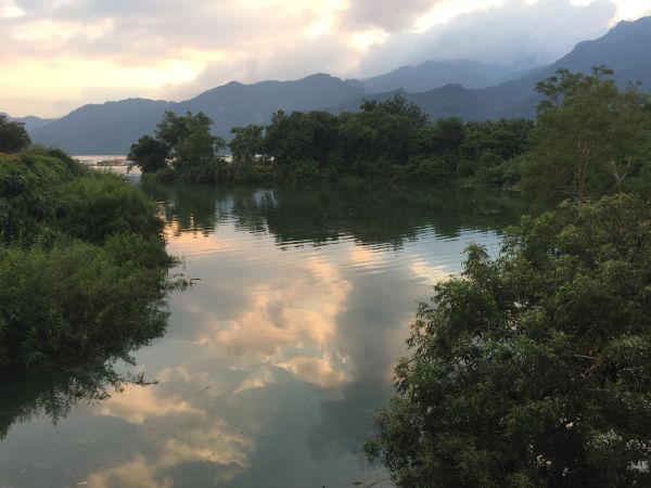 中興林場後山+大埔情人公園133307