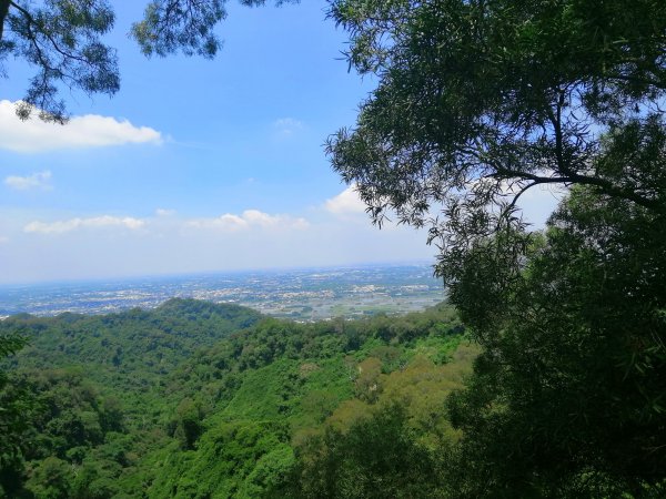 彰化社頭~陡直天梯好視野~中央嶺造林步道1101650