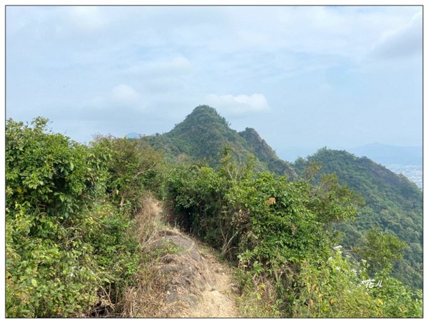 旗靈縱走(旗尾山、福美山、金字面山、人頭山、靈山)2996496