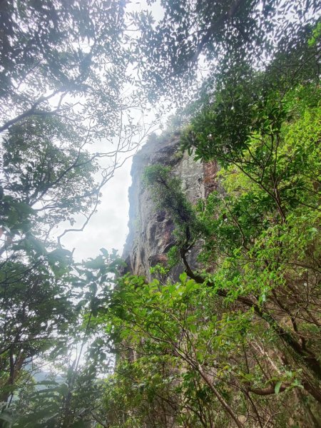 微笑山線五分山系菁桐-平溪-望古2881213