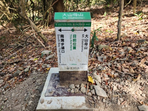 小百岳No.81⛰大山母山2776405