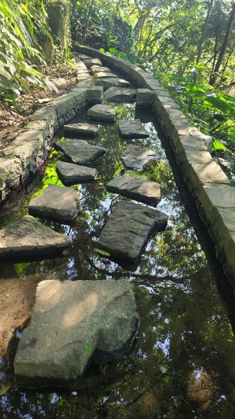 2025-0130溪和宮-大崎頭步道-鵝尾山-平溪步道-鵝尾山水田-42巷-溪山百年古圳-平菁步道2701966