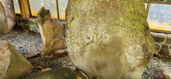 【中級山縱走】志繼山，東眼山，拉卡山，卡外山，東滿步道2742599