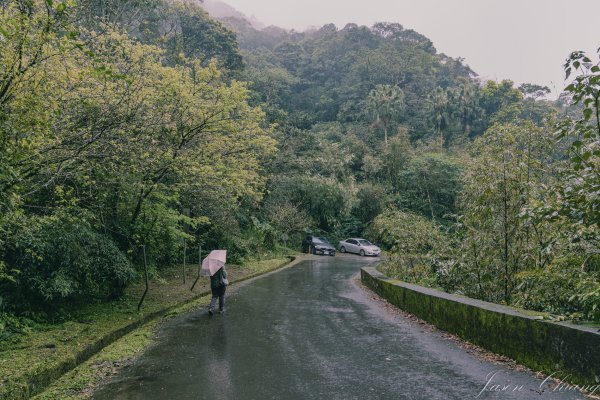 [新北]二格山2730233