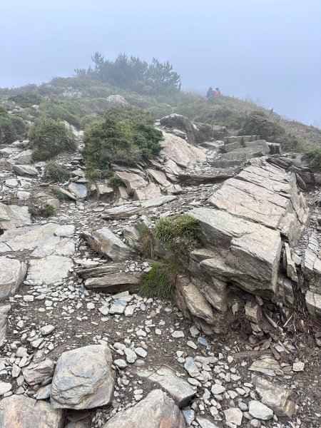 風雨中完成合歡北峰登頂2515349