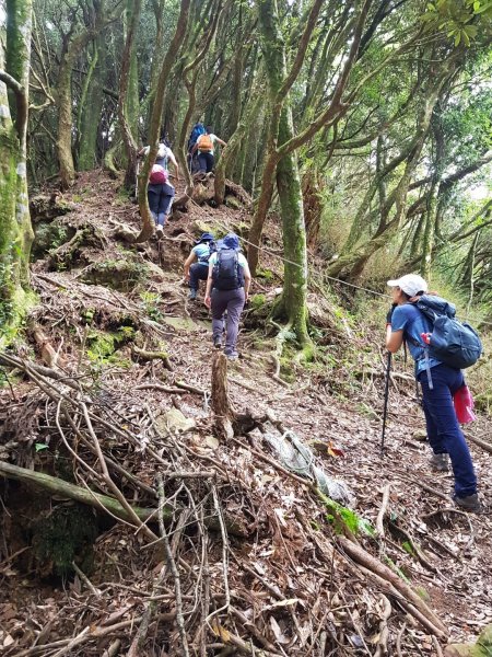 哈加縱走-哈堪尼山、哈里山1054899