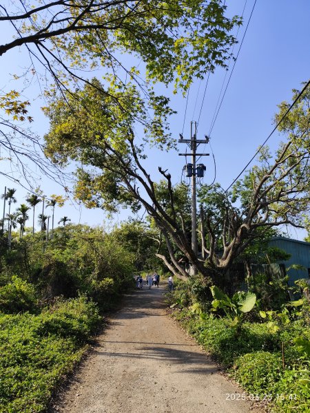 【臺北大縱走 5】碧山巖→忠勇山越嶺步道→金龍產業道路→圓明寺步道→鄭成功廟步道→文間山→劍潭山步道2744867