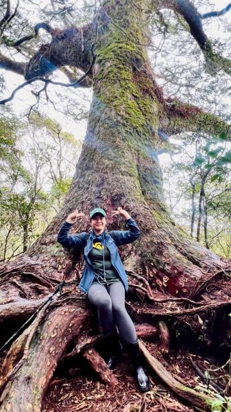 🌈4/13（日）（三）魔法森林-塔曼山~FB：熊熊趴爬走🌈2761309