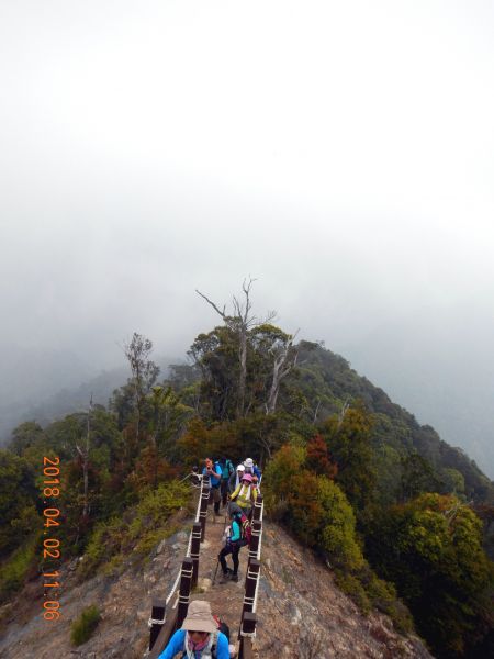 20180402谷關七雄之白毛山301907