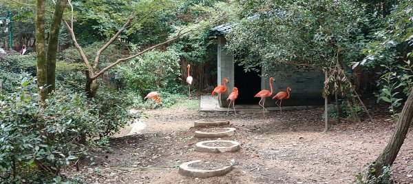 杭州動物園3089150