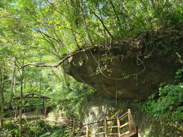 馬武督探索森林、外鳥嘴山2860629