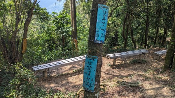 [屏步青雲] 屏東山旅行 笠頂山2650770