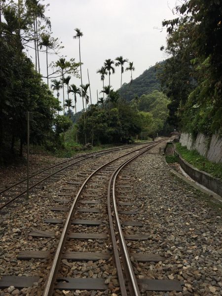 獨立山-大籠頂步道284955