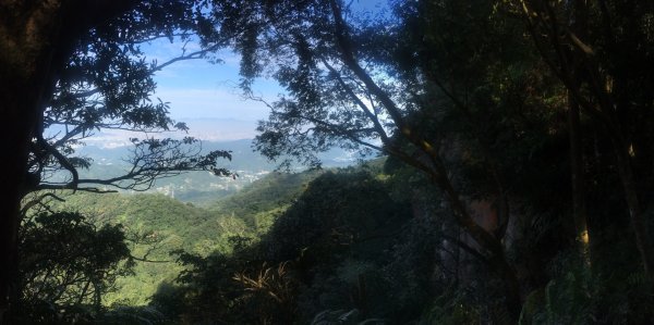 六寮崙山、雞罩山、白雞山8字走2371107