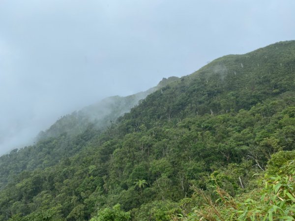 步道巡訪員 l 聖母登山步道109八月份巡訪1085498