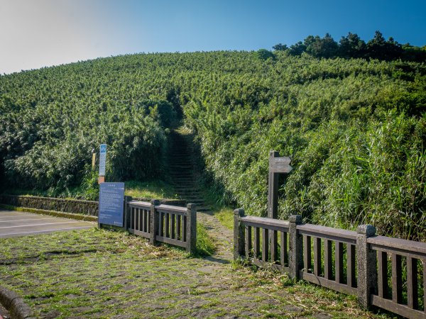 【行腳陽明山】初夏裡蒼翠欲滴的環七星山與百拉卡公路人車分道2188698
