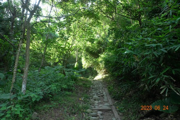 彰化 社頭 清水岩中央嶺造林步道2198381