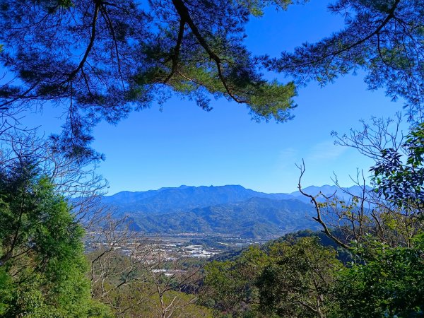 大坑4號步道楓葉紅了1963134