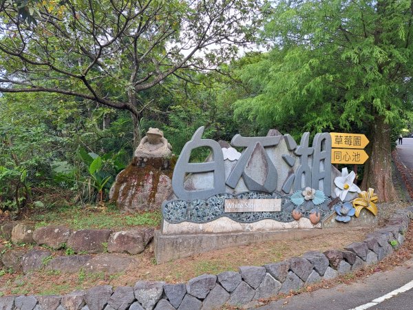 小百岳集起來大崙頭尾山親山步道3127372