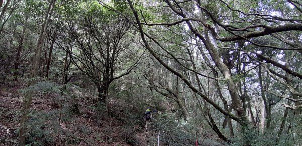 白姑大山之旅743407