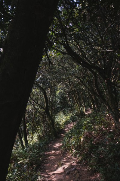 鳶山-福德坑山-彩壁858987