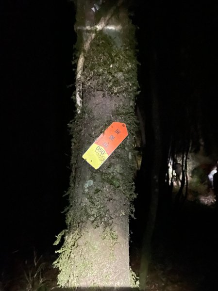 2021-03-28屏風山單攻，111.2K最新登山口去與回1337709