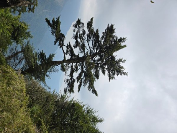 終於看到1000元背面的山景登頂玉山北峰／前峰2495873