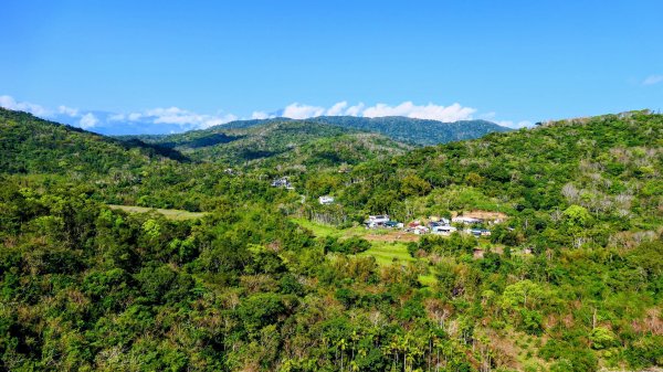 洄瀾東海岸3006632