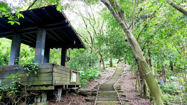 微笑山線405高地段2844161