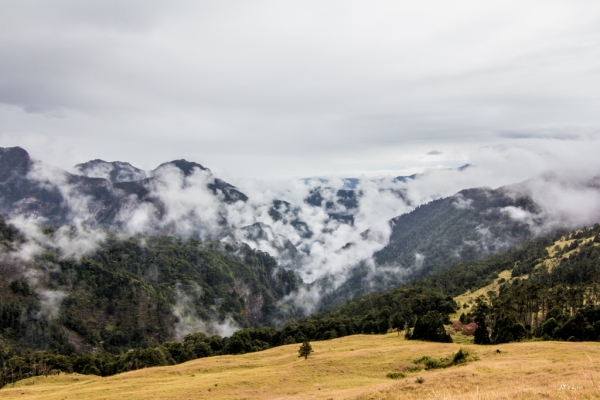 雪北 雨中的山水畫75027