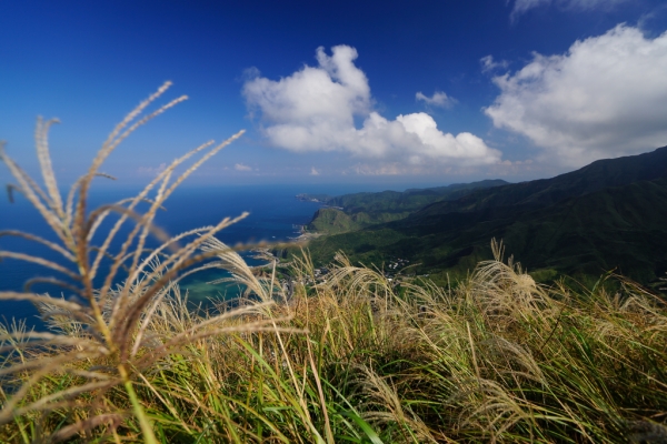 雷霆峰 - 芒花季70228