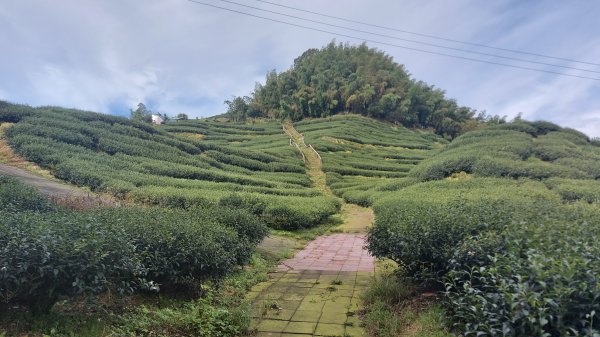 雲嘉九連峰1438921