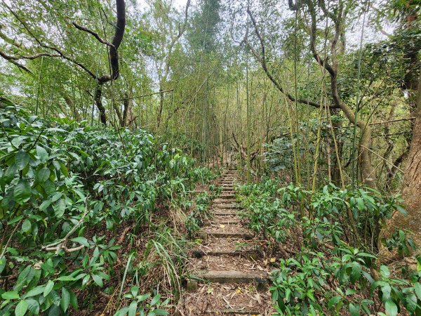 20250101海口山、糠榔埔山、闖水窩山及大牛朝山2726201
